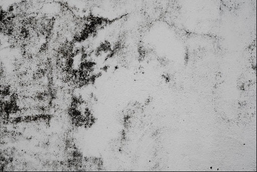 How To Prevent Mold In Your Garage