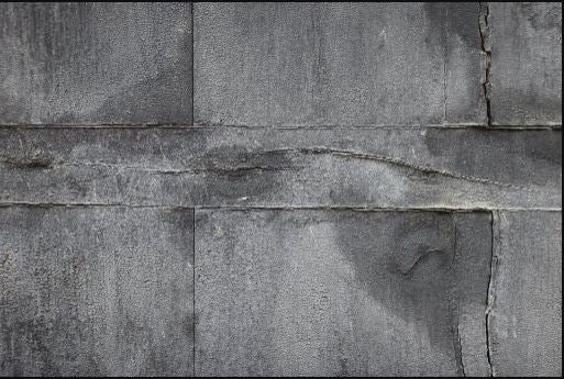 Why are my Garage Walls Wet?