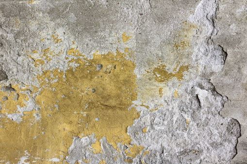THE DANGERS OF MOLD AND DAMP IN YOUR GARAGE